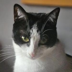 Petter