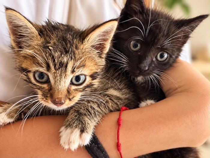 Tina y Tino