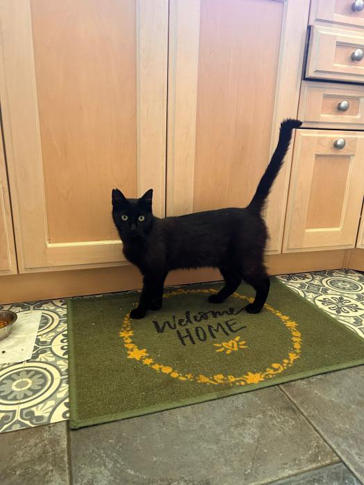Blacky